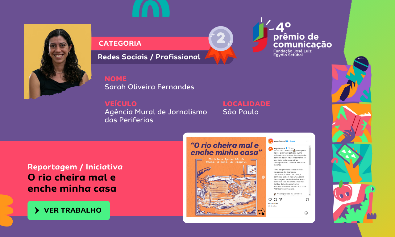 Redes Sociais Profissional 2