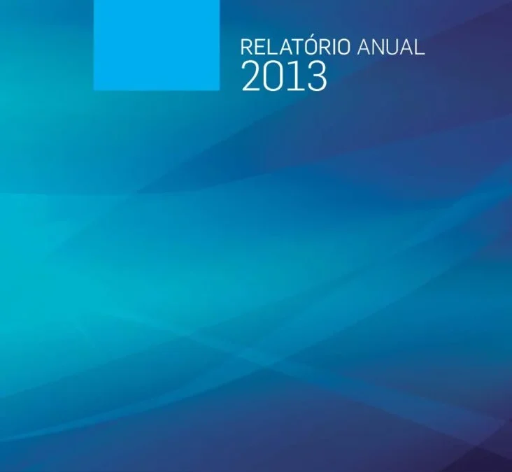 Capa do documento Relatório Anual 2013
