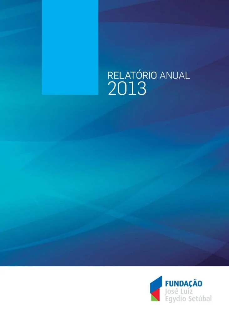Capa — Relatório Anual 2013